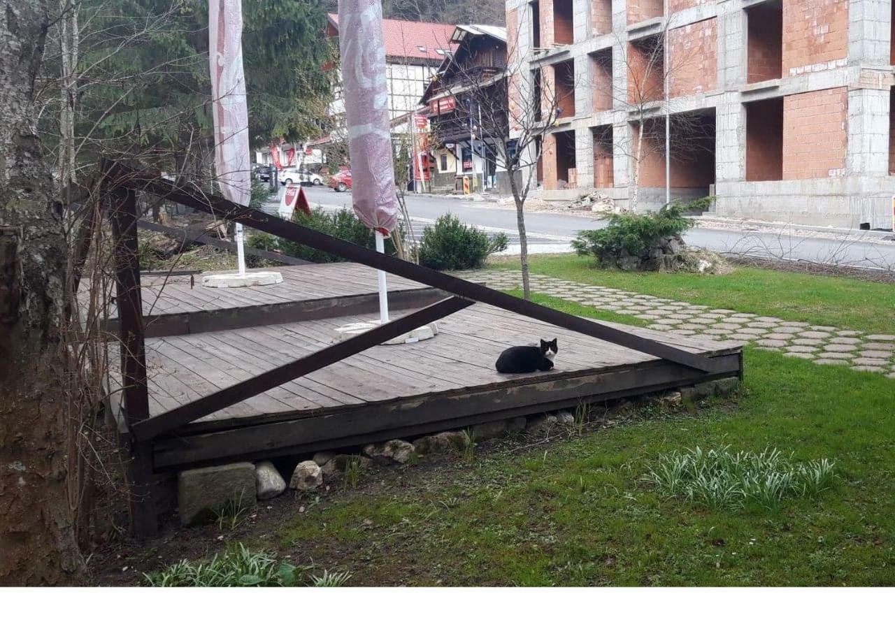 Pensiunea Anotimpuri เปรดัล ภายนอก รูปภาพ
